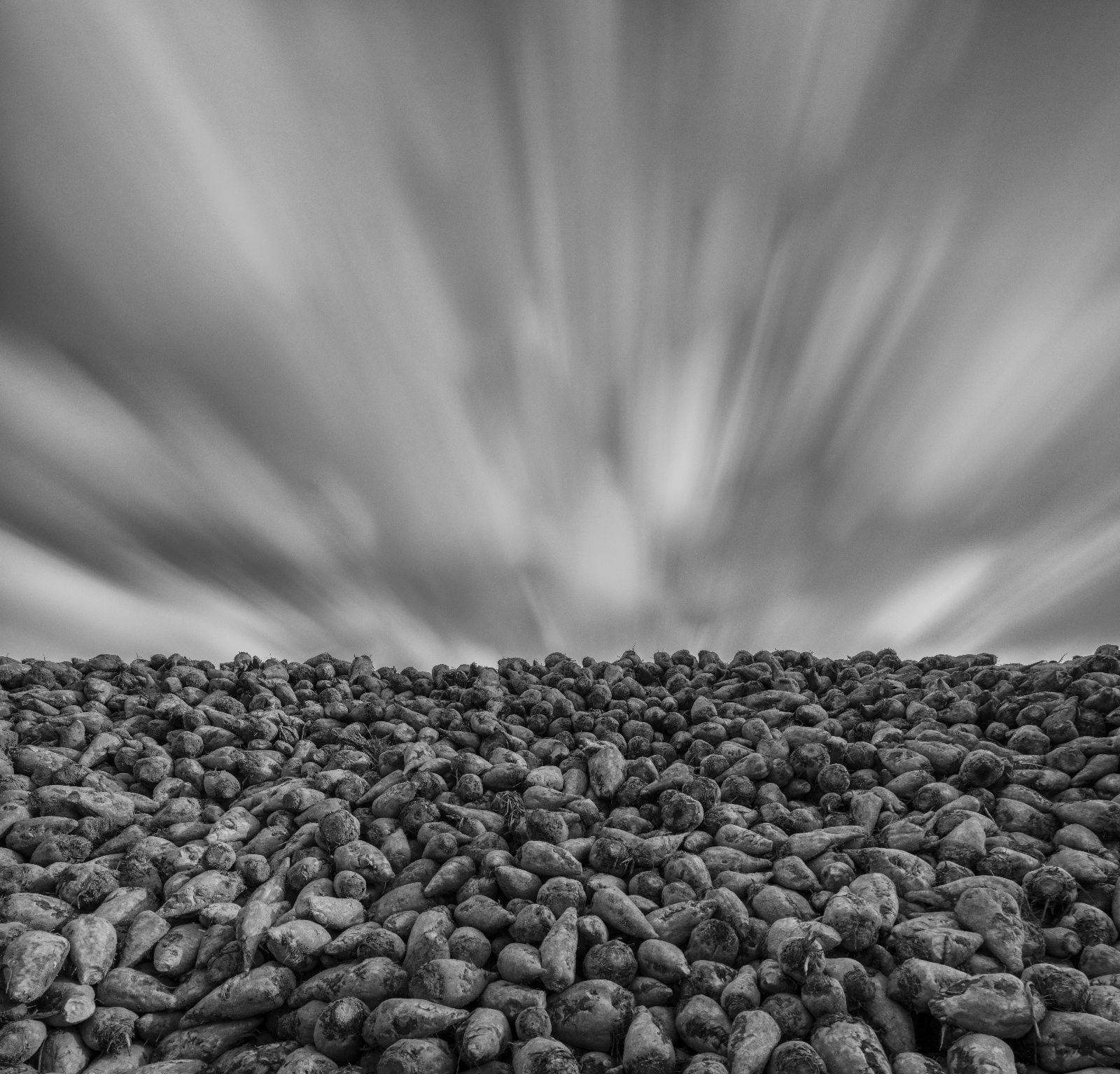 20131103 DSC01703 20131103 DSC01712 10929x10489 86.53x76.55(16.22) P CU L 3 10 0000 Bearbeitet