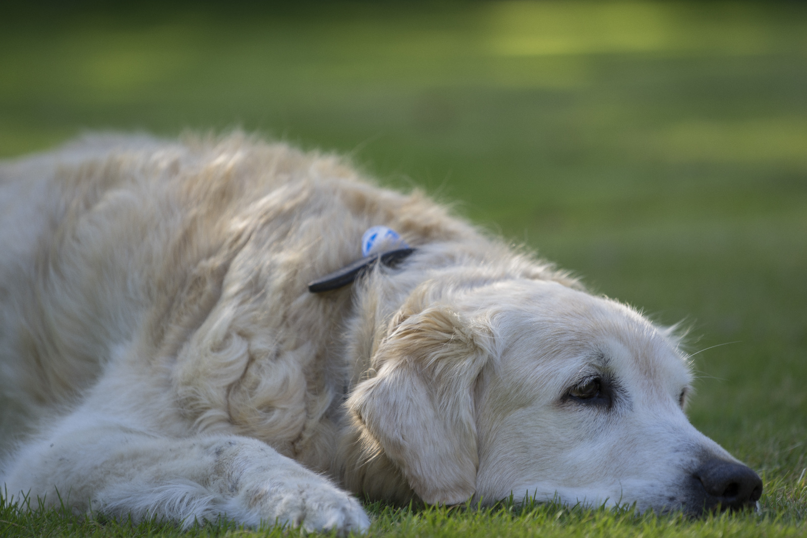 20150805160021  DSC2786