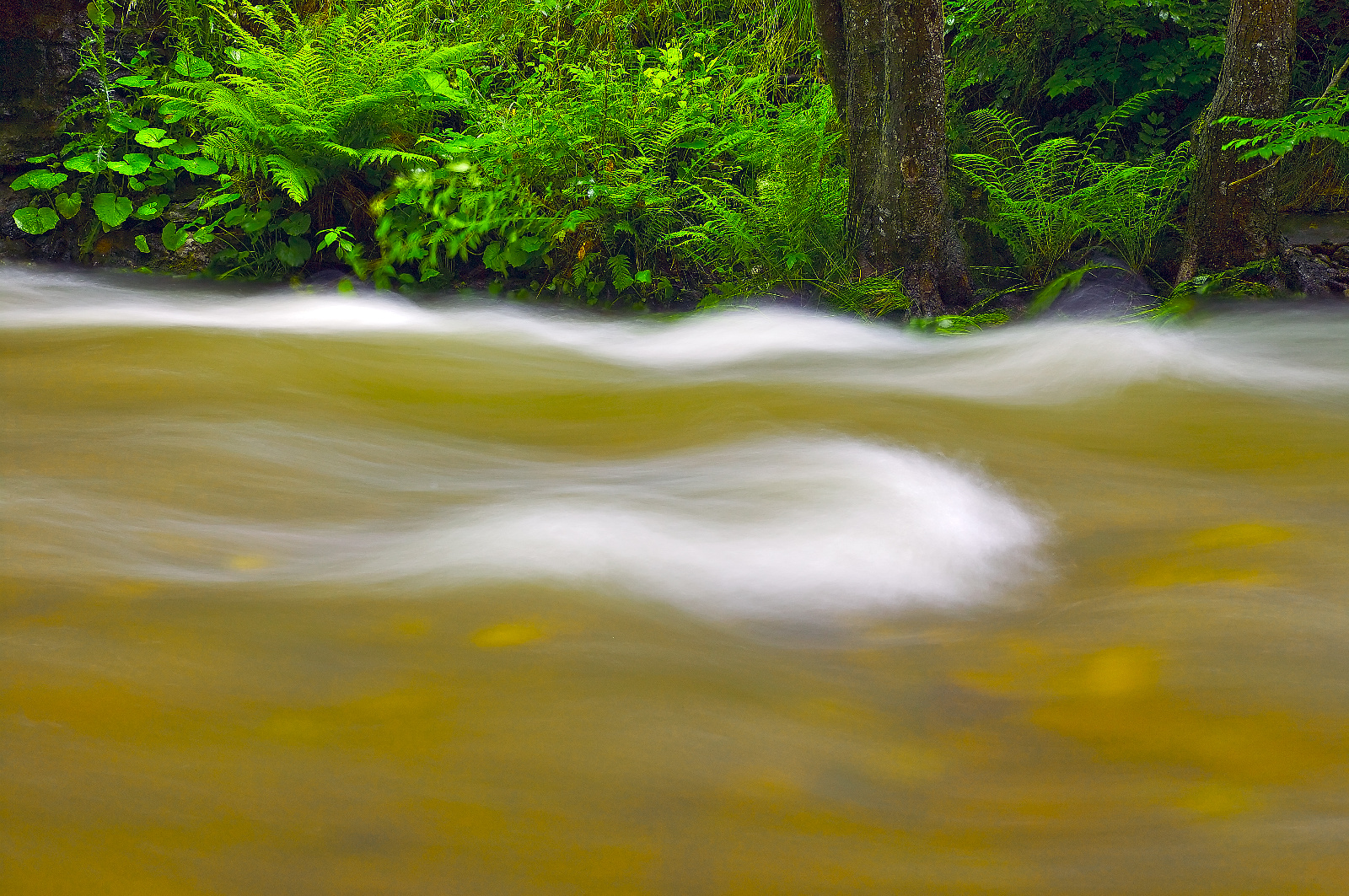 20DU3040ReadyForA2print