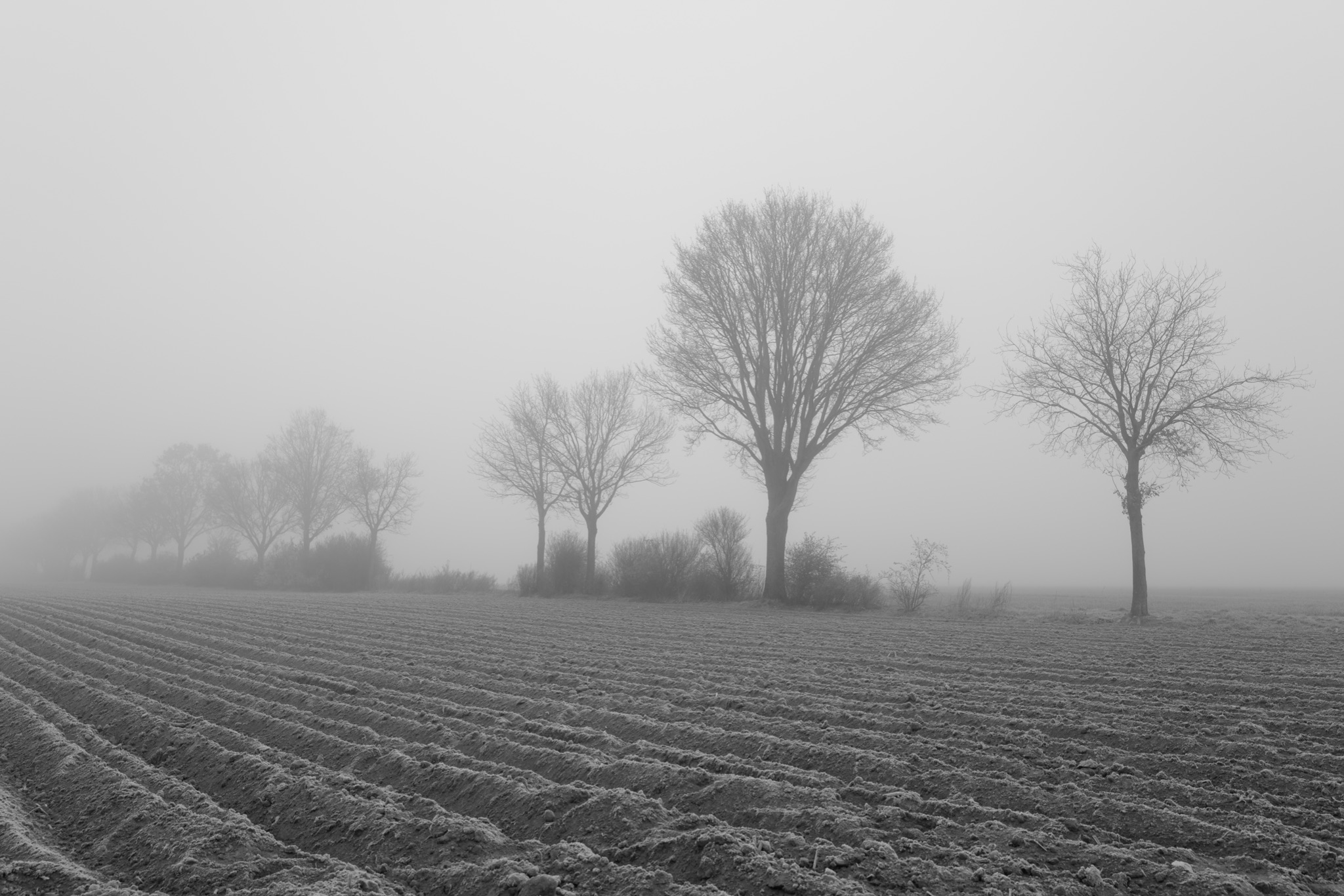 AM20200331 07260012301