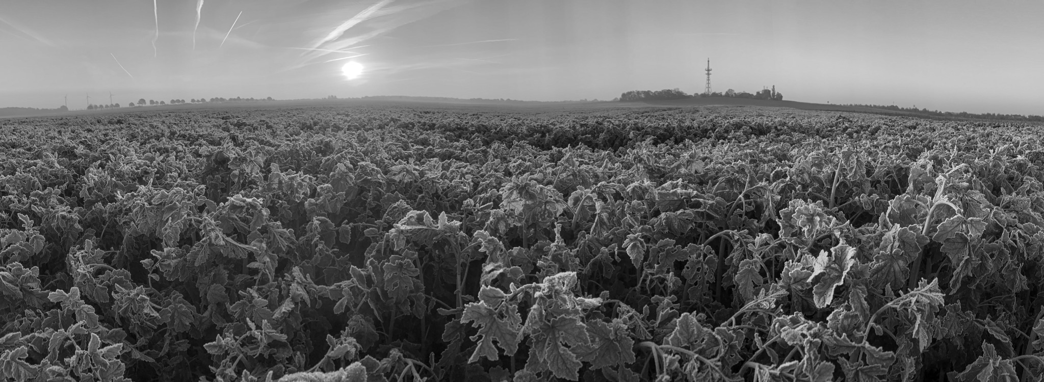 Ip201910310710483022