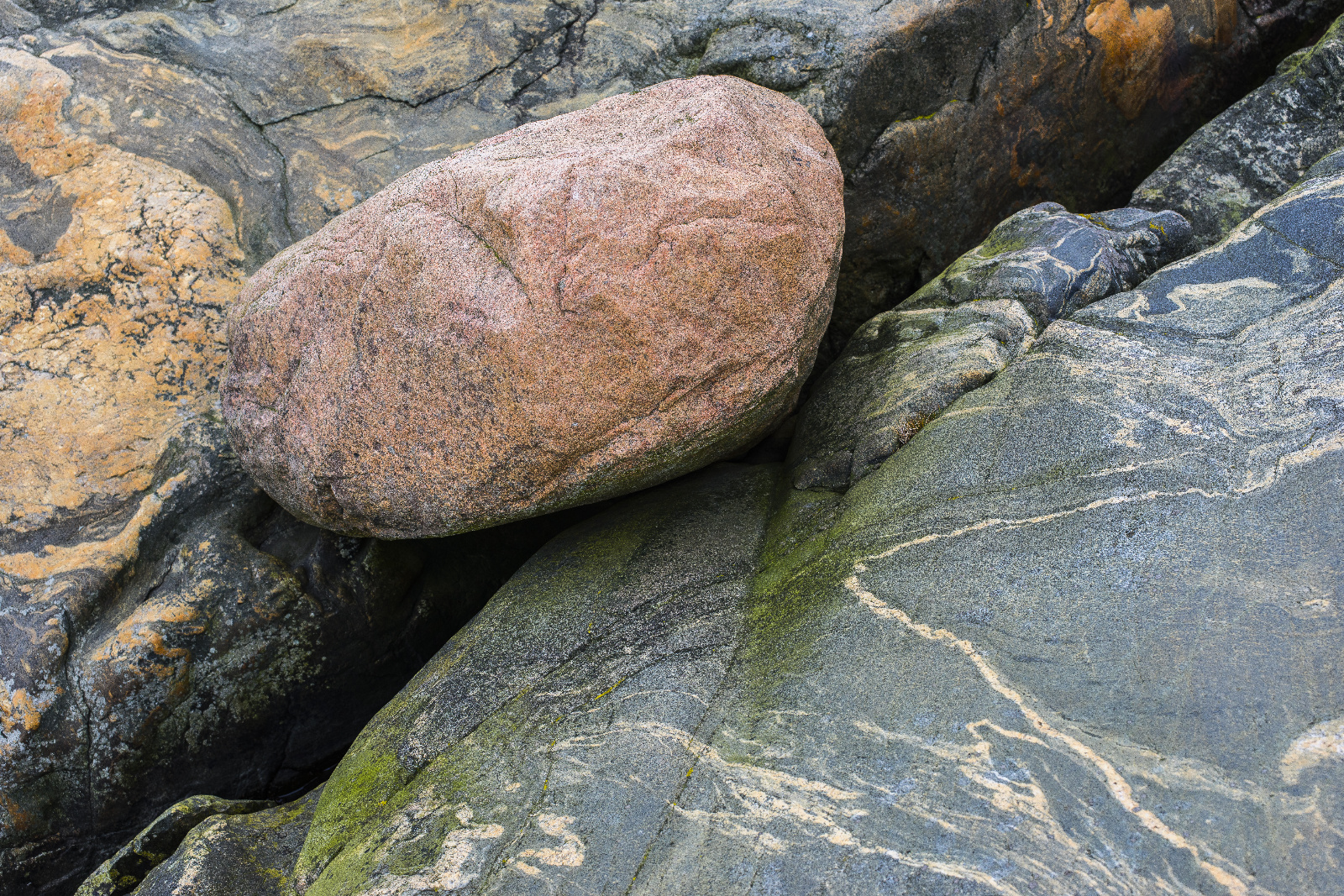 20151020112415  DSC2970