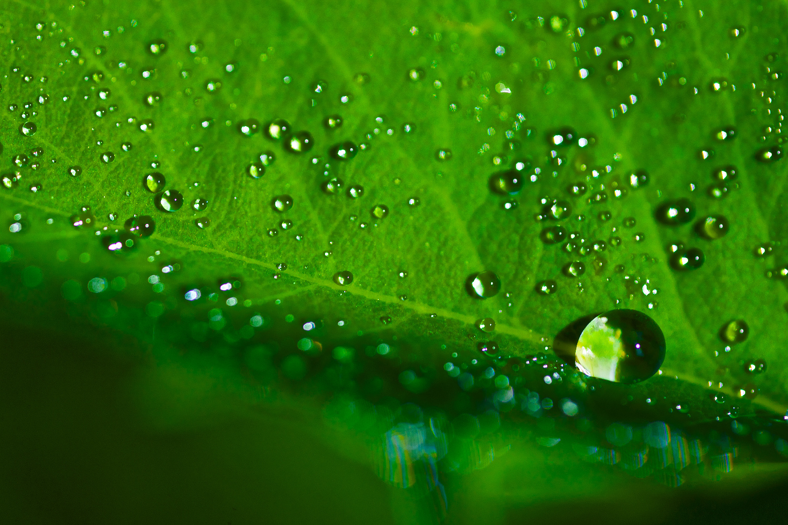 20DU6956ApertureMasterReadyForA4printV2