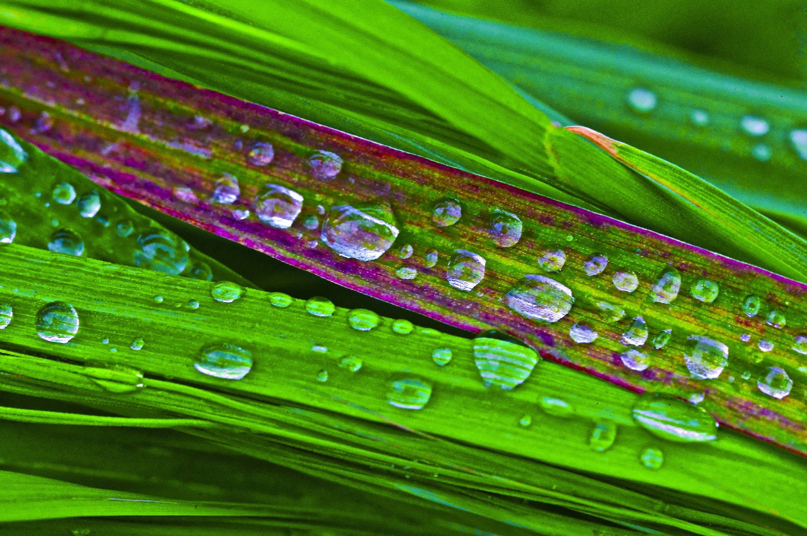 20DU7320ApertureMaster