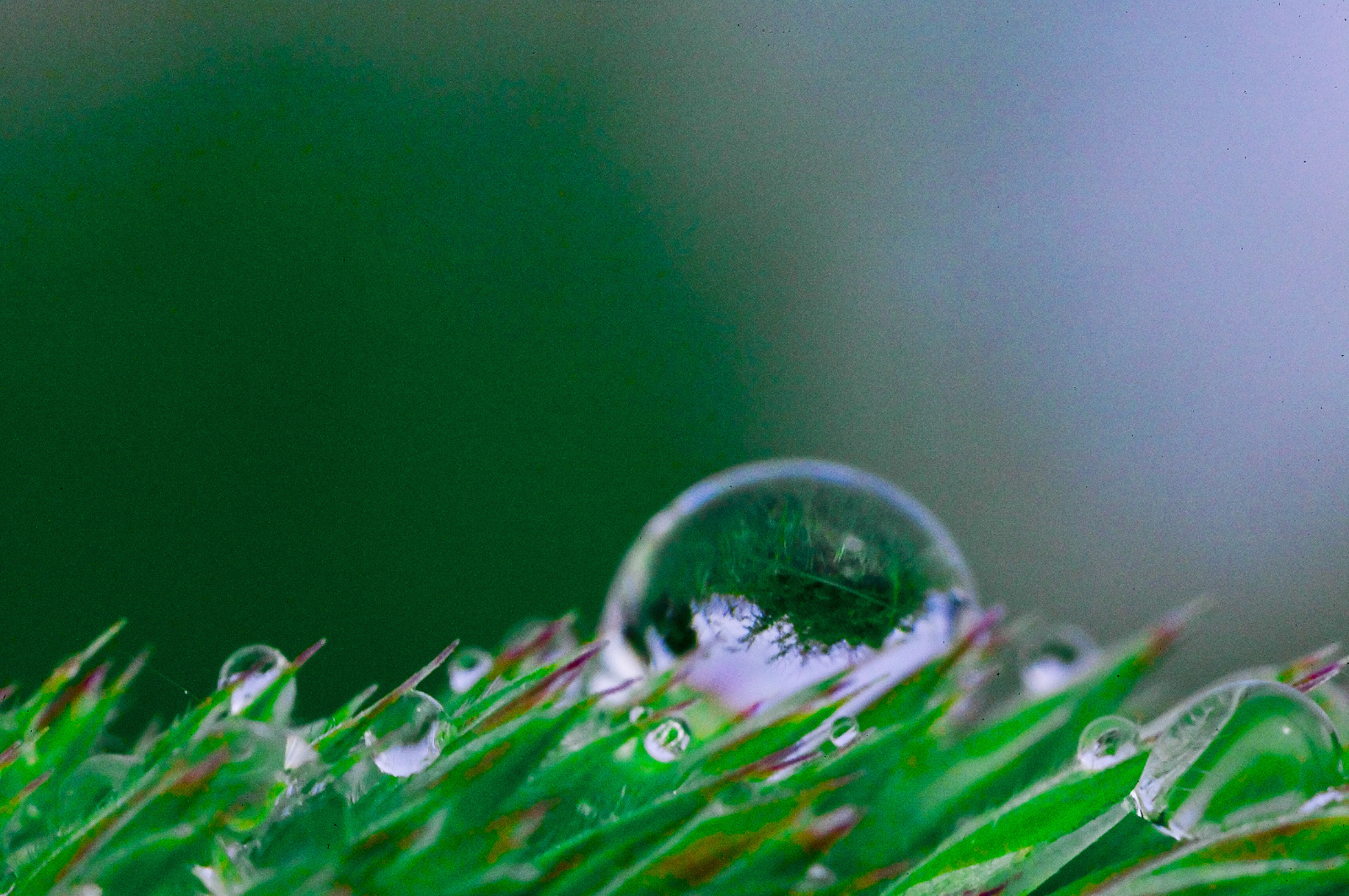 WaterDrops