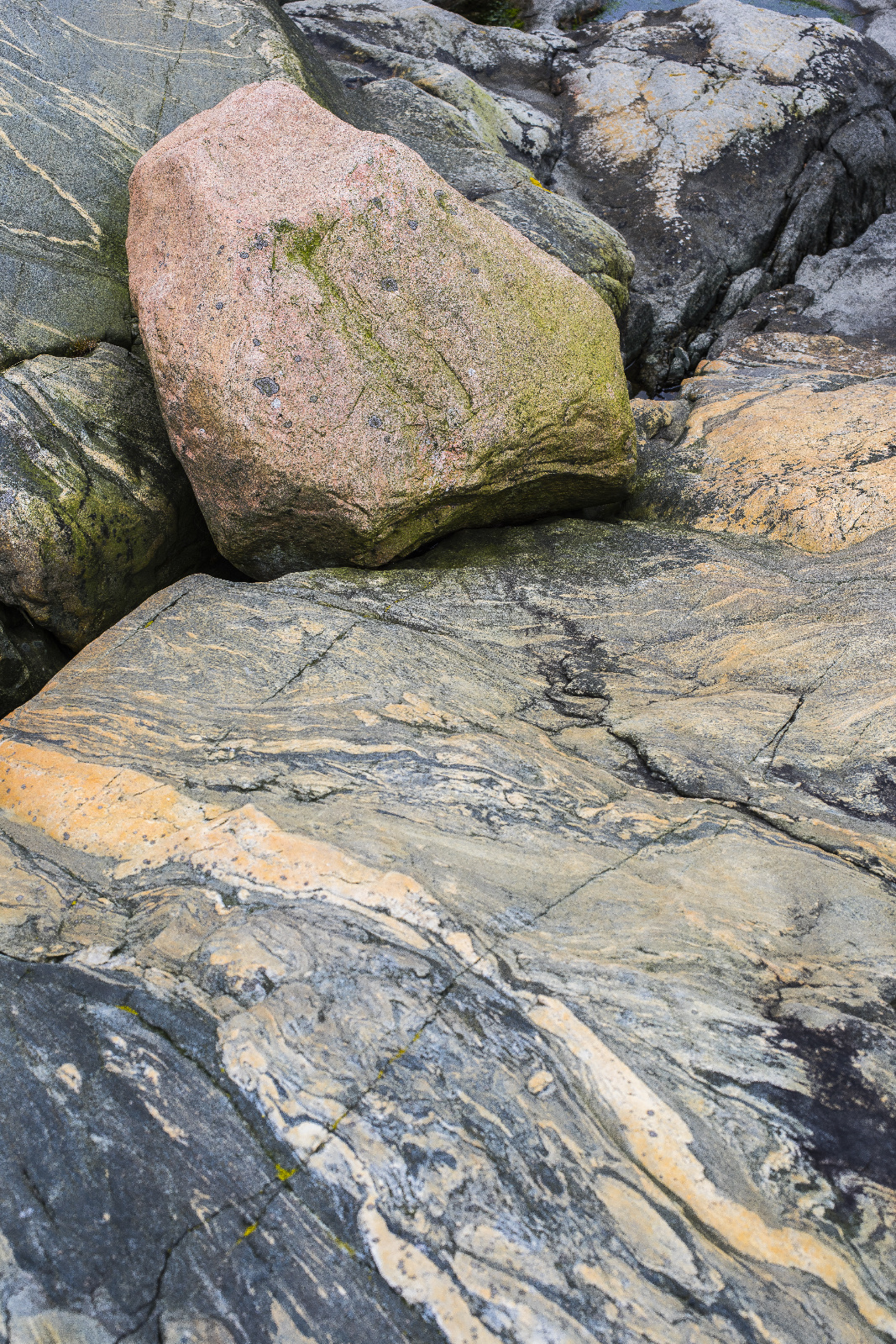 20151020112118  DSC2966