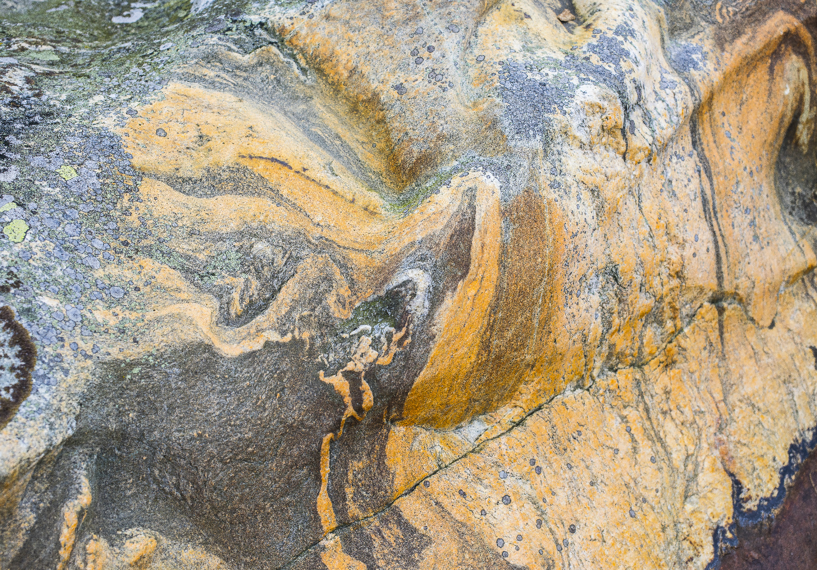 20151020112735  DSC2979