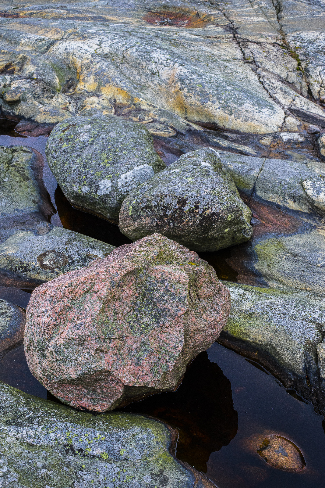 20151020113111  DSC2984