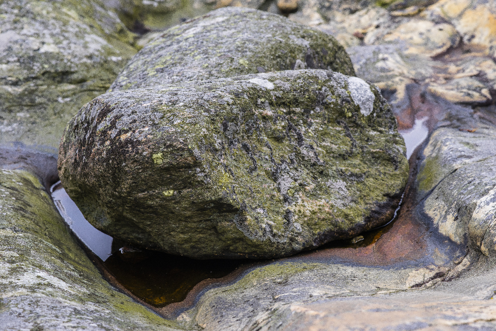 20151020114437  DSC2999