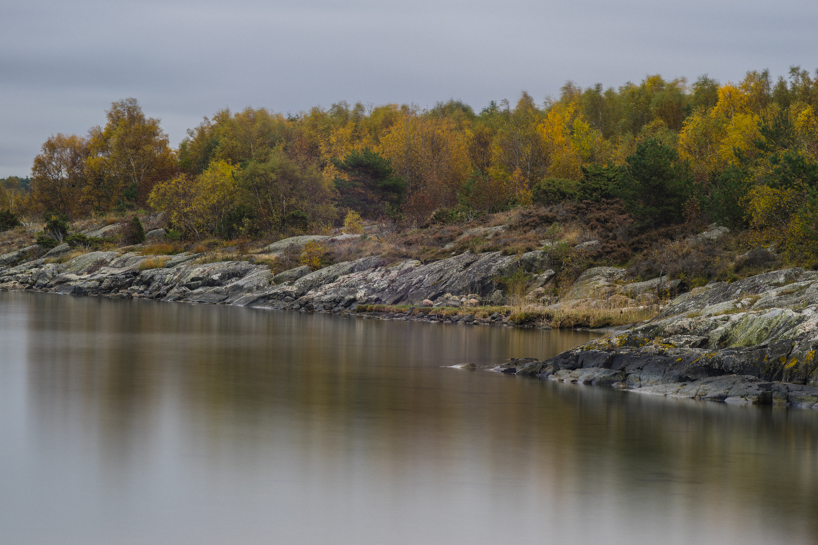 20151020120722  DSC3005