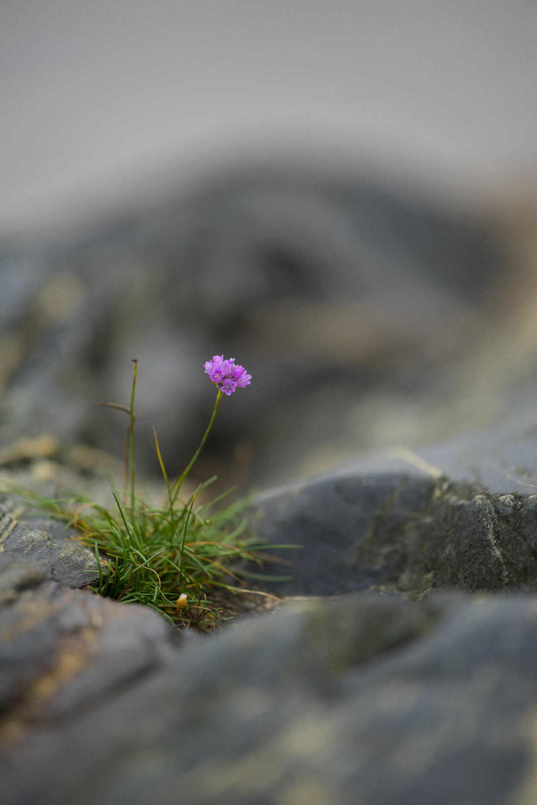 20151020122144  DSC3009