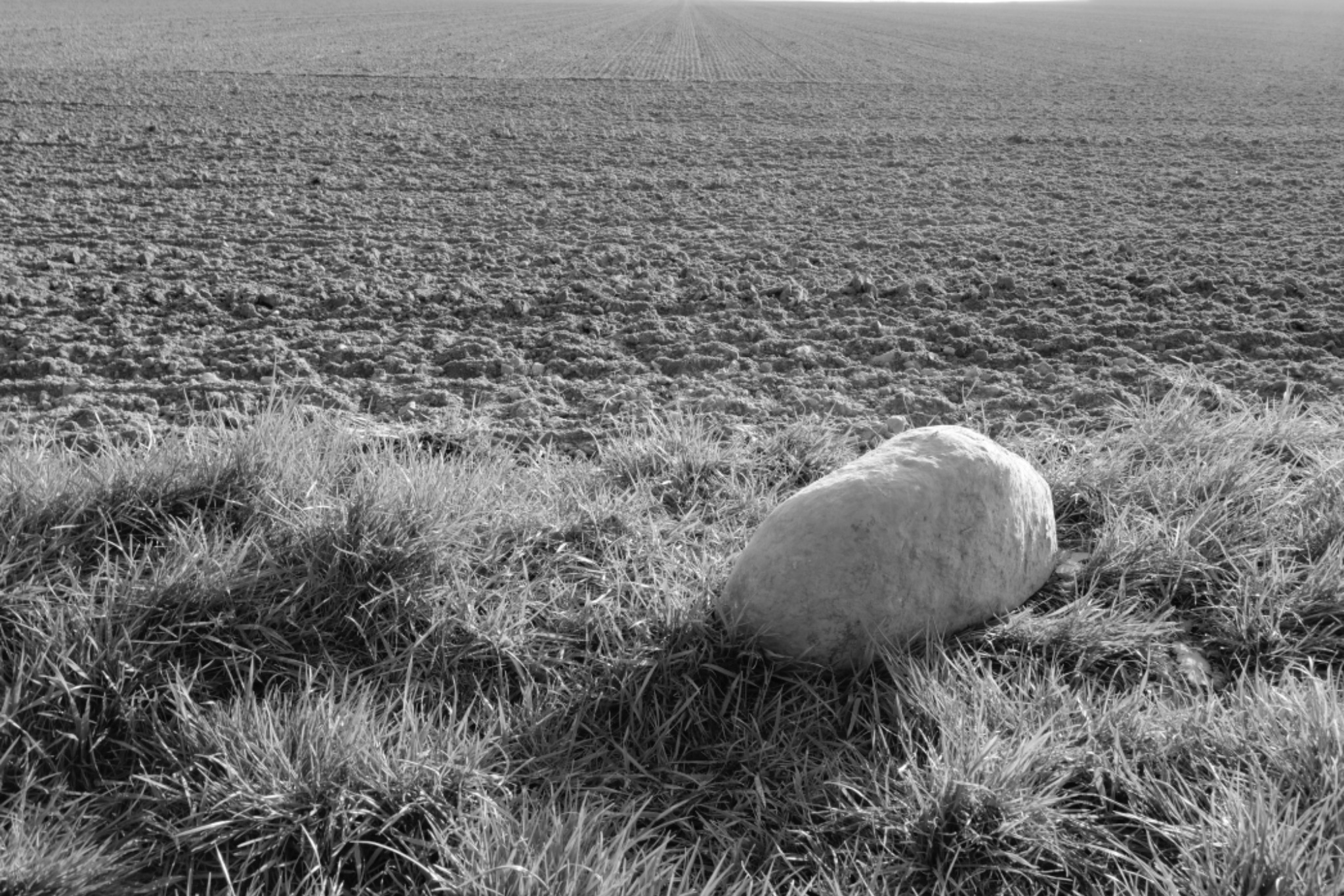 AM20200405 07151812901