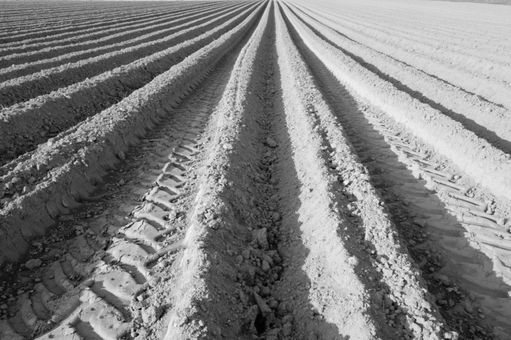 AM20200405 07280413701