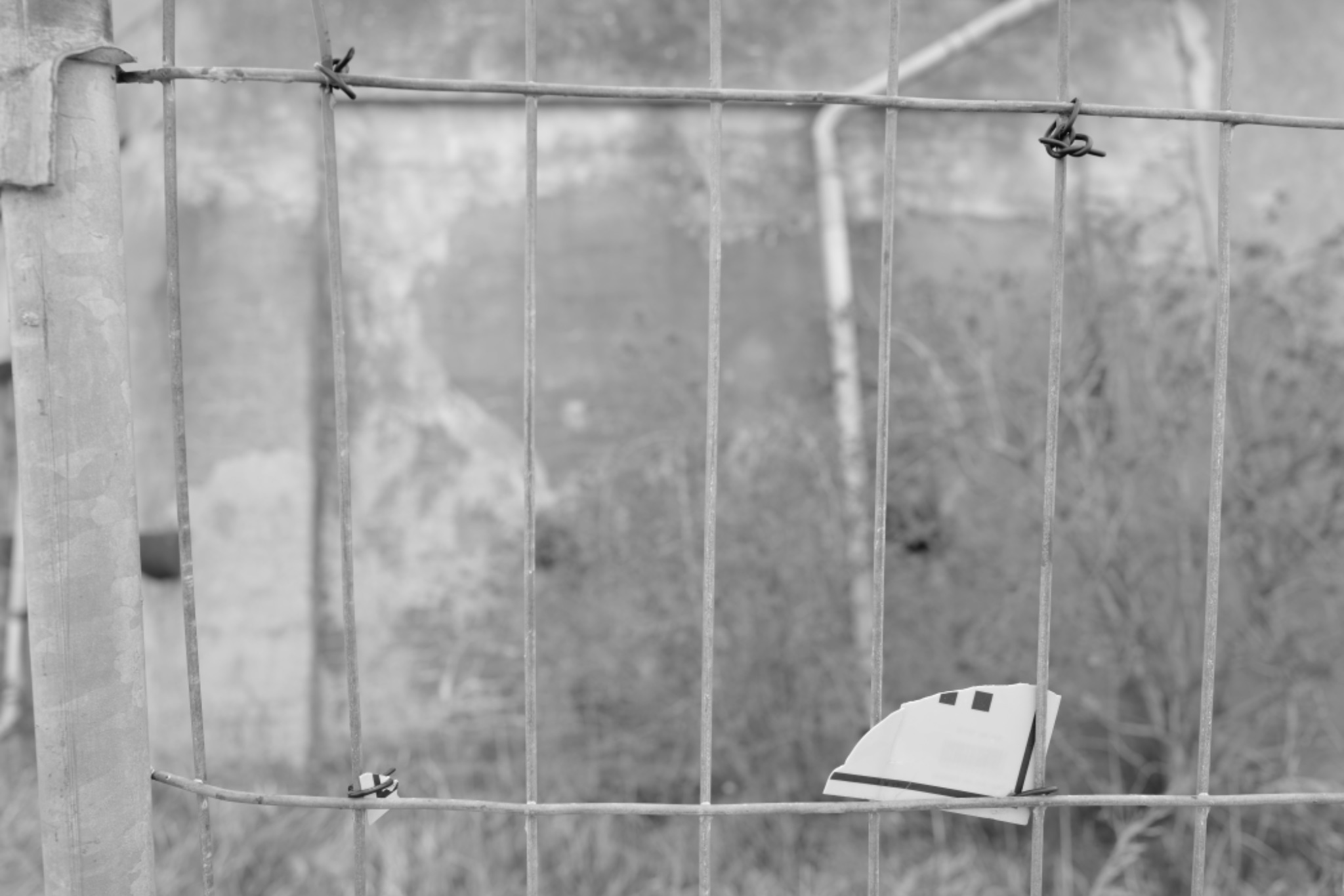 AM20200407 07310214301