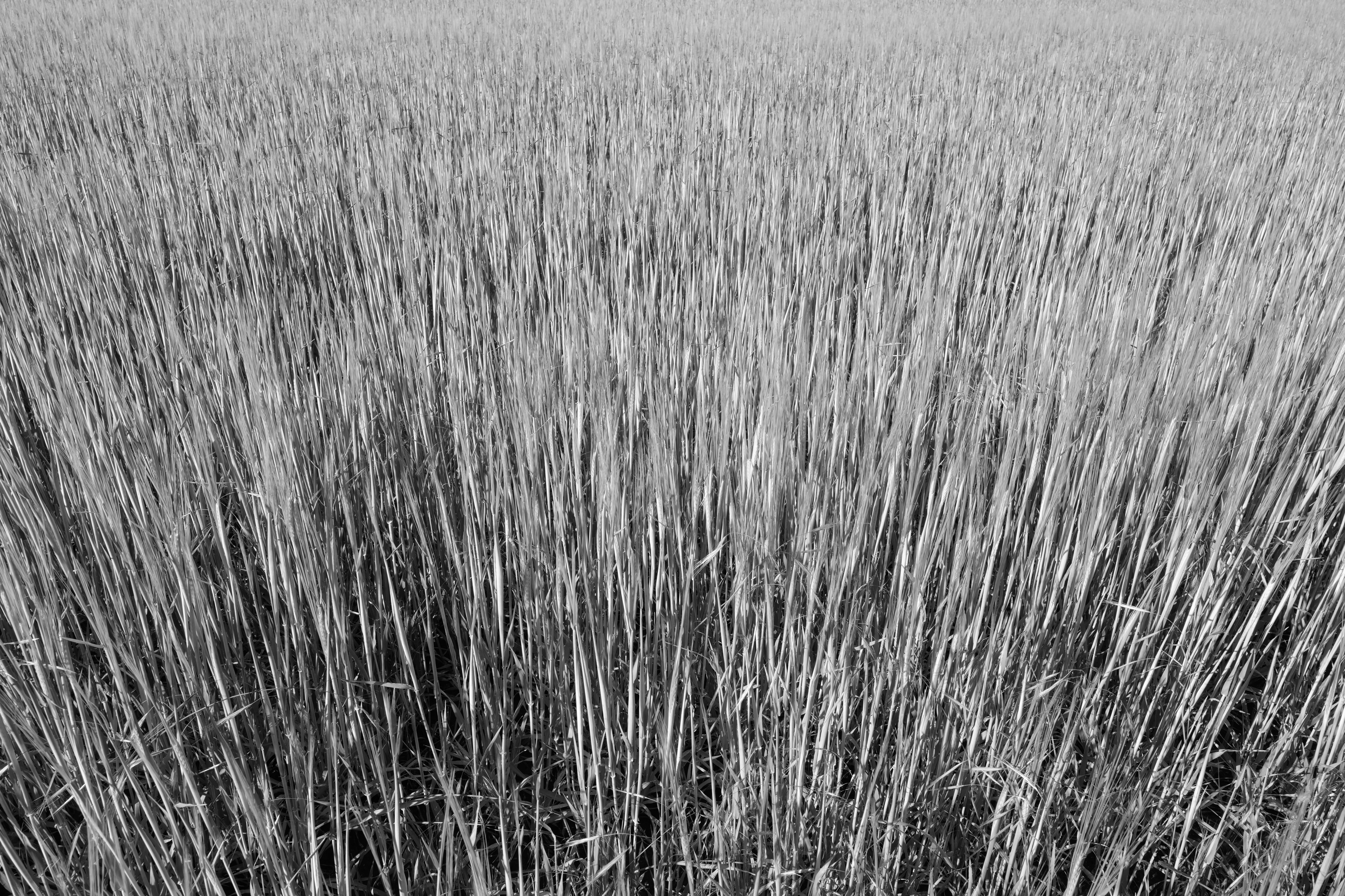 AM20200607 07021622601