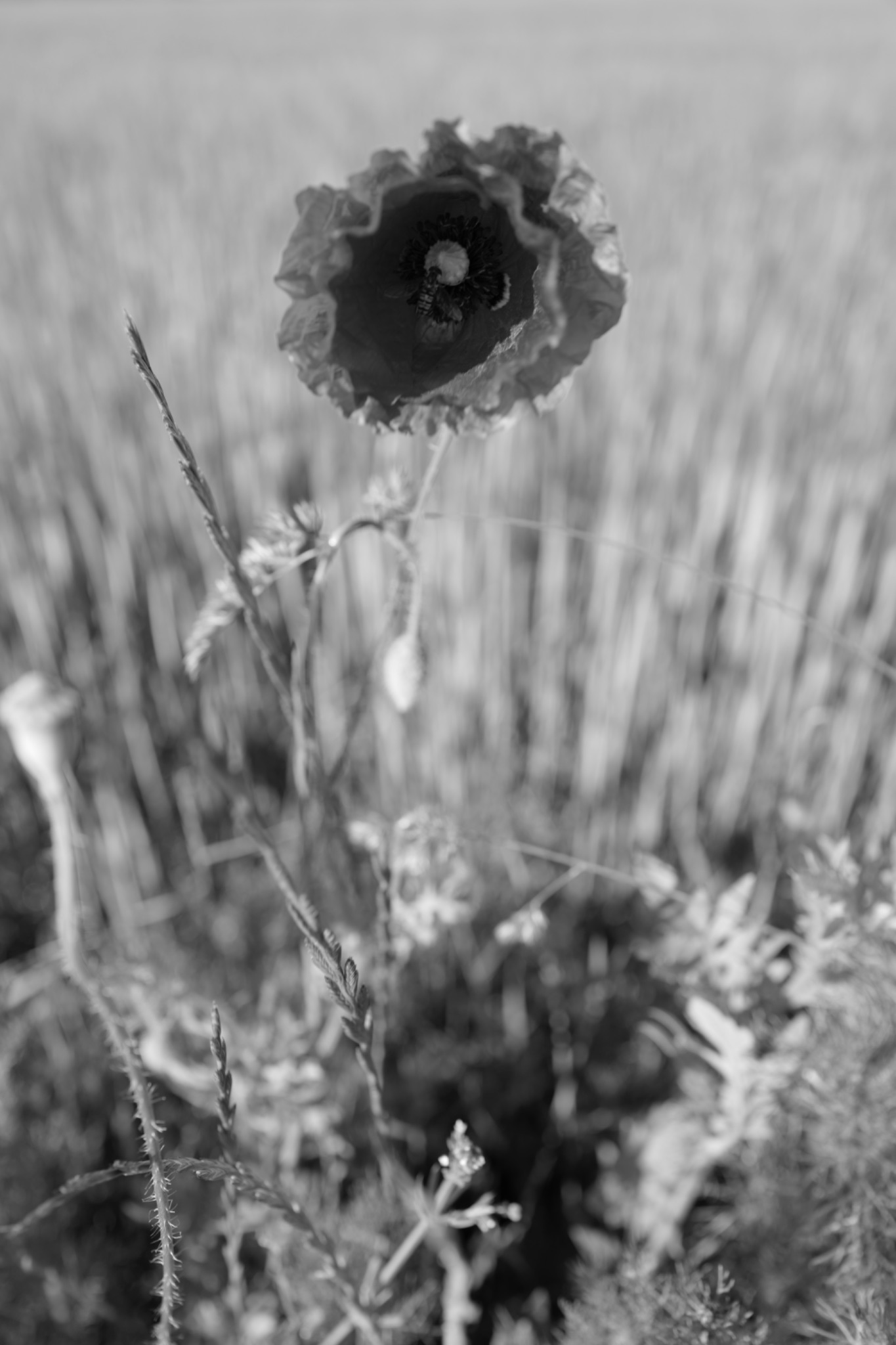 AM20200607 07204123001