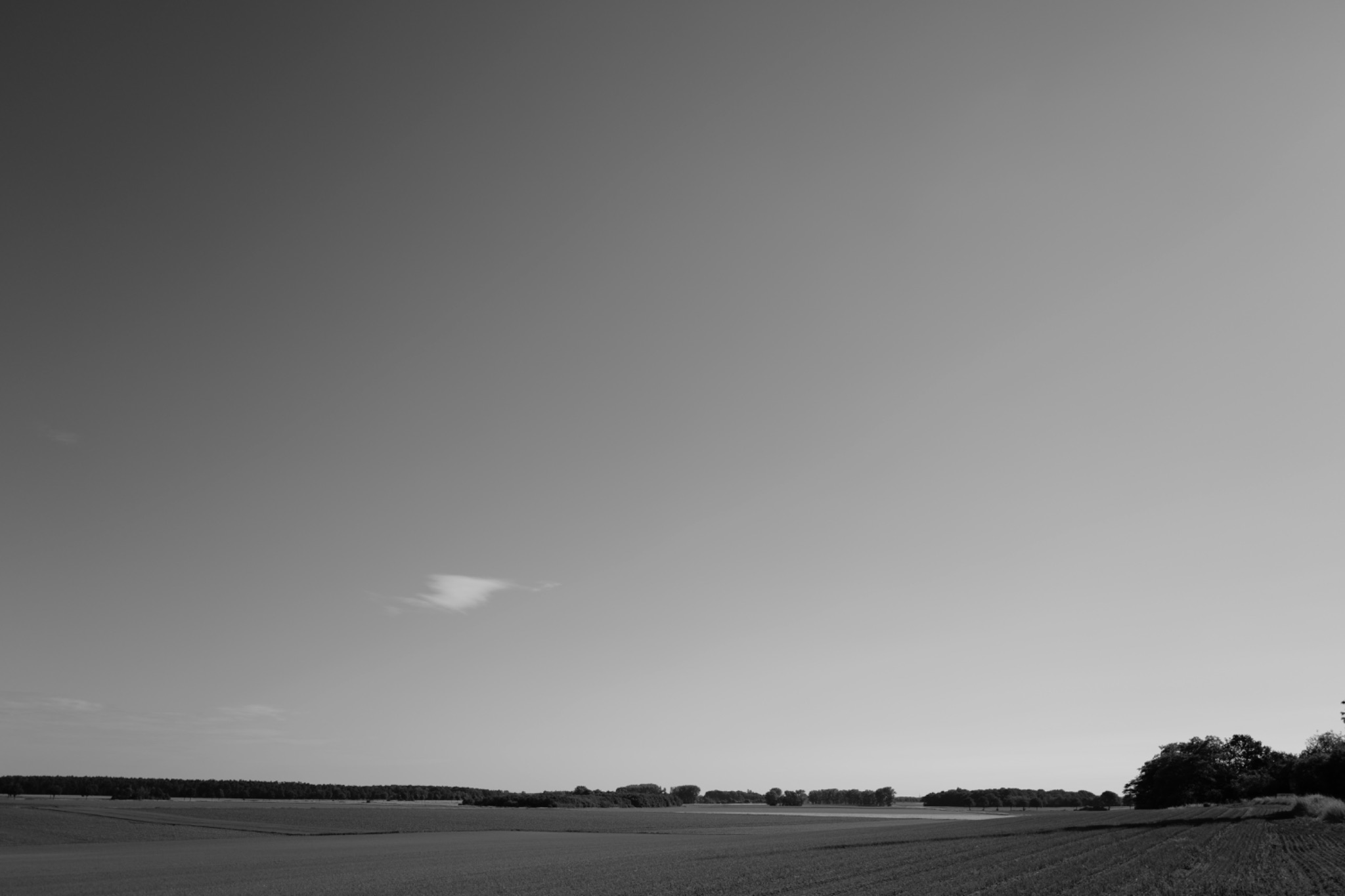 AM20200607 07312423801